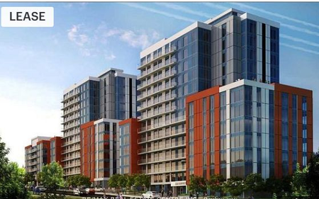 For Lease - 258B Sunview Street Unit# 296 (2nd Bedroom), Waterloo, Ontario - Photo 5