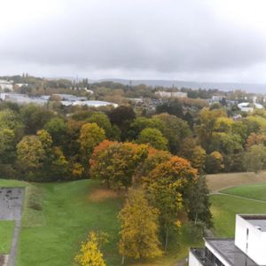 Appartement 3 pièces à Metz - Photo 3