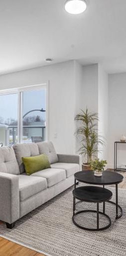 5 1/2 - Montréal (La Petite-Patrie) - 2 695 $/mois - Photo 1