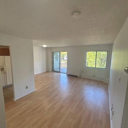 1 CH - 1 SDB - Côte Saint-Luc - $1,345 /mo - Photo 4