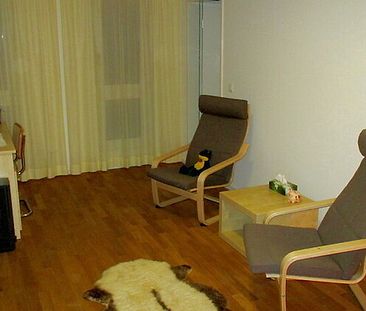 1 Zimmer-Wohnung in Pratteln (BL), möbliert - Photo 4