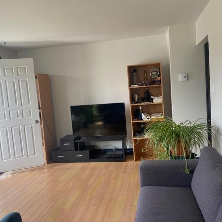 Sorel-Tracy grand logement 5 1/2- immense cour - Photo 4