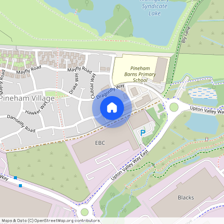 Damselfly Road, Northampton