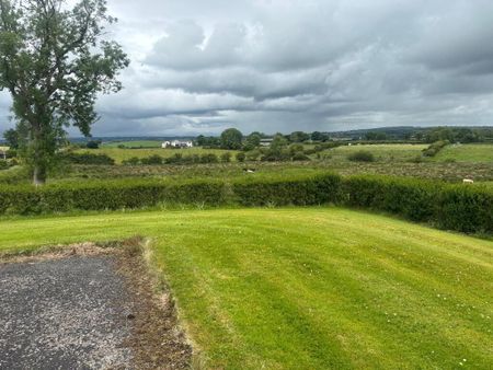 29 Ardtanagh Road, Dromara, BT25 2BX - Photo 5