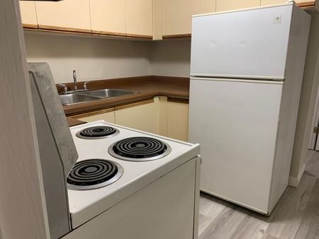 2 bedroom, 1 bathroom Basement in Waskasoo - Photo 4
