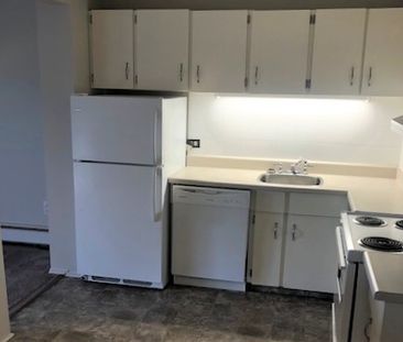 1 Bedroom Condo For Rent In Old Strathcona. - Photo 6