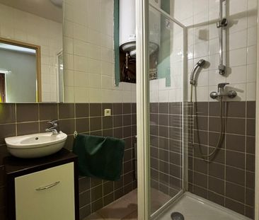 Location Appartement 2 pièces 30m² LA MOTTE SERVOLEX 73290 - Photo 3