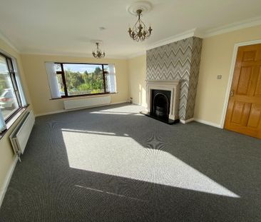29a Drumnaconagher Road, Crossgar, Downpatrick, BT30 9JQ - Photo 2