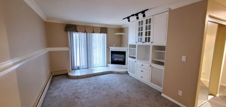 Private Entrance, Free Laundry & Cozy Fireplace, Cat Friendly!! - Photo 2
