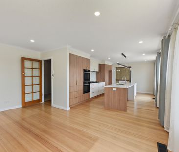 Elevated Family Home - Photo 4