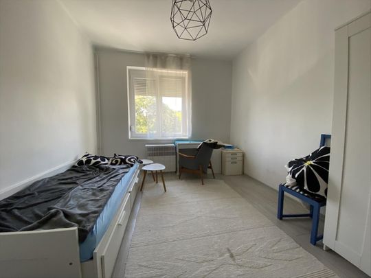 Kiadó jó állapotú lakás - Pécs - Fotó 1