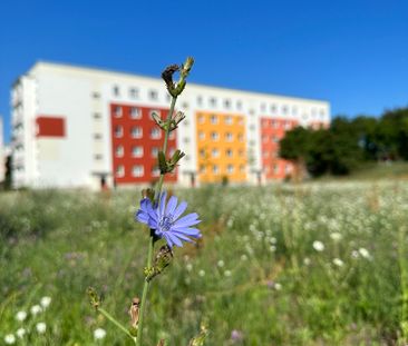 Frisch sanierte Familienwohnung! - Foto 5