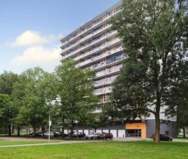 Elviraland 0ong, 2591 Den Haag, Nederland - Photo 2