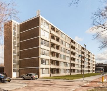 Apartment Rotterdam - Kerkwervesingel - Photo 3