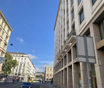 OPERNRINGHOF 3 Zimmer Wohnung/Büro I 2 Bedroom Apartment opposite O... - Photo 5