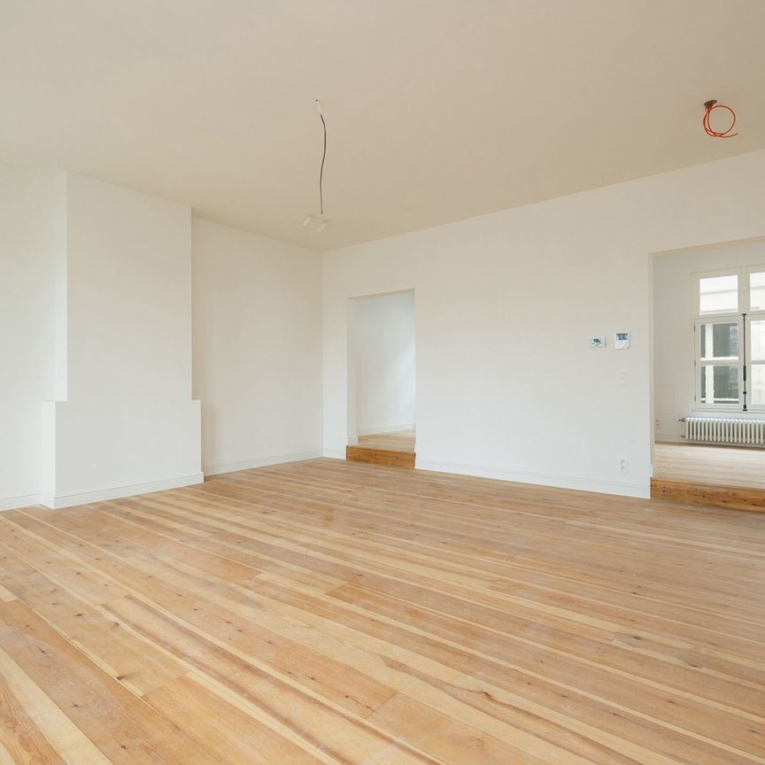 Volledig gerenoveerd duplexappartement in hartje Antwerpen - Photo 1