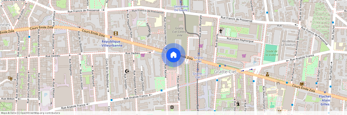 156 Cours Émile Zola, 69100 Villeurbanne, France