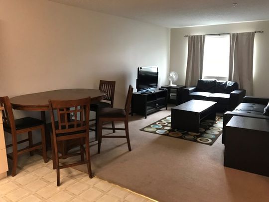 Hammer Condo Furnished - Photo 1