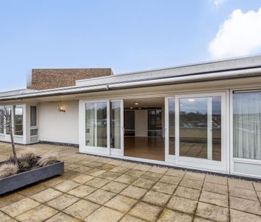 Hofdael, 5664GR, Geldrop - Foto 4