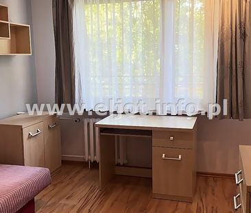 Dąb, Katowice - Photo 5