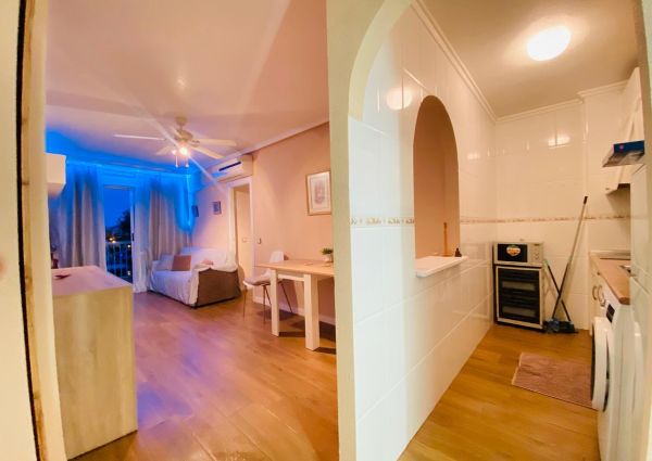 Mieszkanie na wynajem - 29 m² - 1 pokój Torrevieja Walencja Alicante