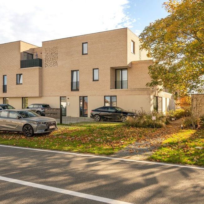 Appartement te huur in Kruishoutem voor € 800 met 1 slaapkamer - Photo 1