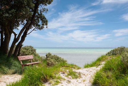 Fabulous and furnished Beachfront apartment - Photo 4