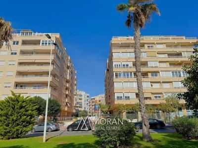 Apartment - Torrevieja - Photo 5