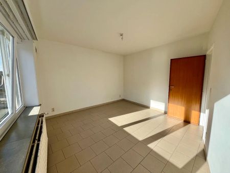 App te huur centrum Halle met 1 slpk - Photo 2