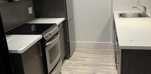 Logement à louer meublé, PROPRE, Studio à louer, Appartement à louer, Studio Loft moderne et spacieux, terrasse, Ste-Foy - Photo 2