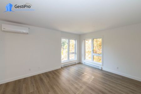 1076 Pierre-Beaumont - Photo 4