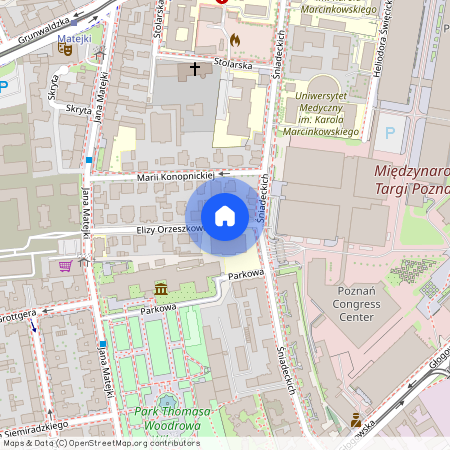 ul. Elizy Orzeszkowej, Grunwald, Grunwald, Poznań, wielkopolskie