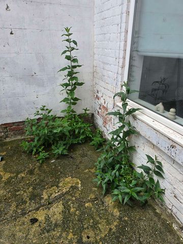 A Captivating Houseshare share for Rent in Hartlepool Room 5 - Photo 5