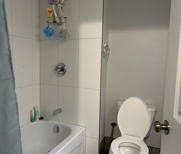 10 Court Street – Lower - Photo 6