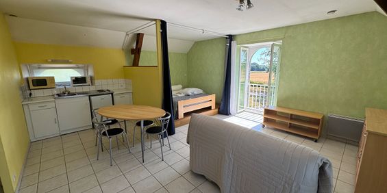 Location Appartement 1 pièce 36m² - Photo 3