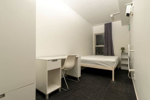 Neat and Fresh Apartment at Whitaker - Photo 1