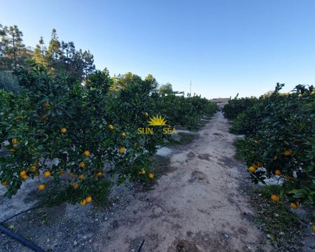 CHARMING HOUSE FOR RENT SURROUNDED BY NATURE NEAR ORIHUELA - ALICANTE PROVINCE - Photo 2