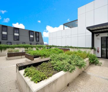 Thornton - vibrant, modern apartment - Photo 3