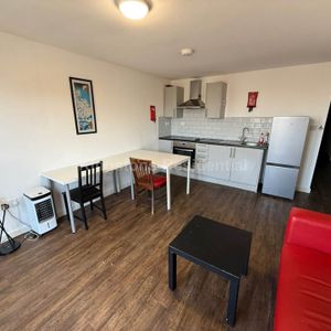 Cathays, Miskin Street, Cathays, CF24 4AP, Miskin Street, Cathays, CF24 4AP - Photo 2