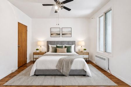 Appartement à louer - Montréal (Le Plateau-Mont-Royal) (Le Plateau-Mont-Royal) - Photo 3