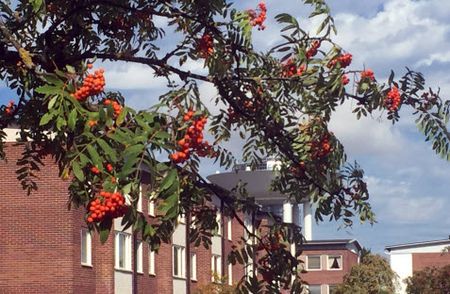 Trollbackevägen 38 - Photo 5