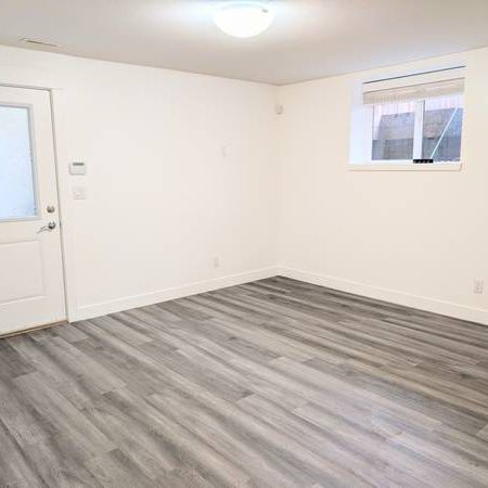 2 Bedroom Basement Suite in South Surrey for Rent - Photo 4