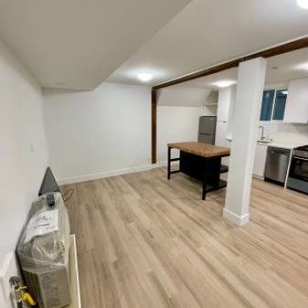 Newly Renovated Spacious Studio in Fairview - Photo 4