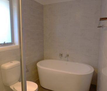 Near New Luxury - Photo 3