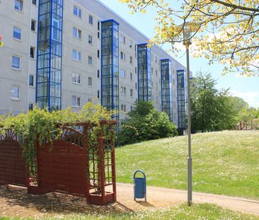 Verglaste Loggia und den Kulkwitzer See in Sichtweite… - Photo 1