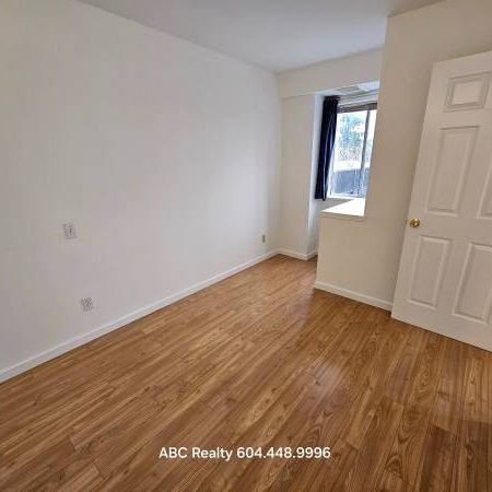 1BED/1BA NEW RENOS Bright and Light by Sapperton/Braid skytrain - Photo 4