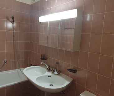 Beautiful apartment in Pt Saconnex with the Mt Blanc and Jet d'eau view - Foto 4
