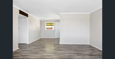 Don't miss this 3x1 well located with a large Backyard. - Photo 3