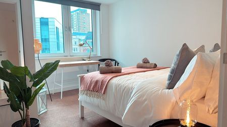 Baldwin Street - Photo 5