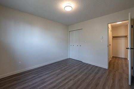 1 Bedroom - Renovated - Photo 4